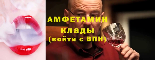 винт Абаза