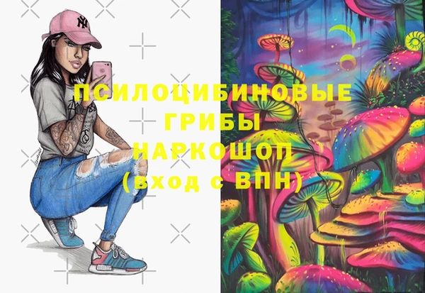 винт Абаза