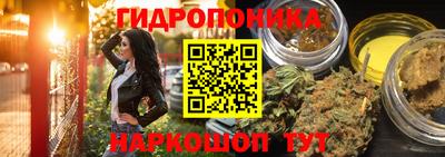 первитин Гусев