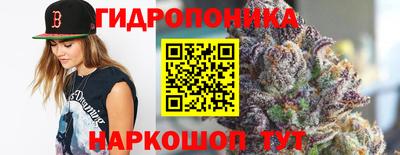 дурь Гусиноозёрск
