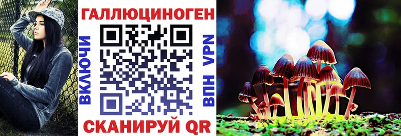 Галлюциногенные грибы прущие грибы  mega ССЫЛКА  Новотроицк 