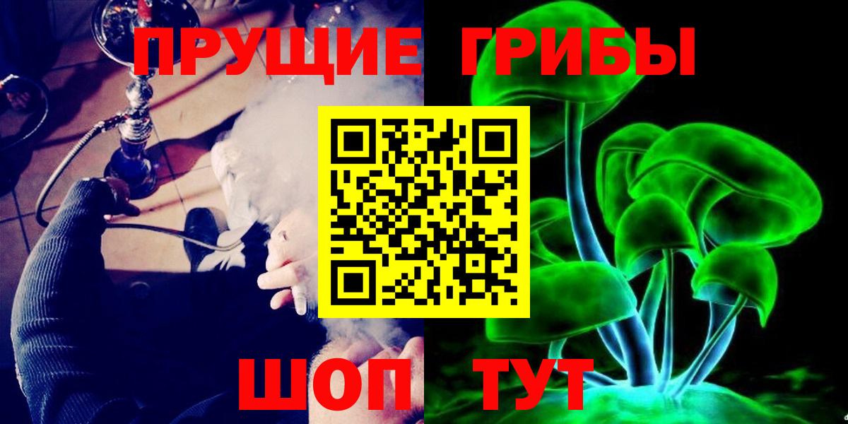 Псилоцибиновые грибы мицелий Новотроицк