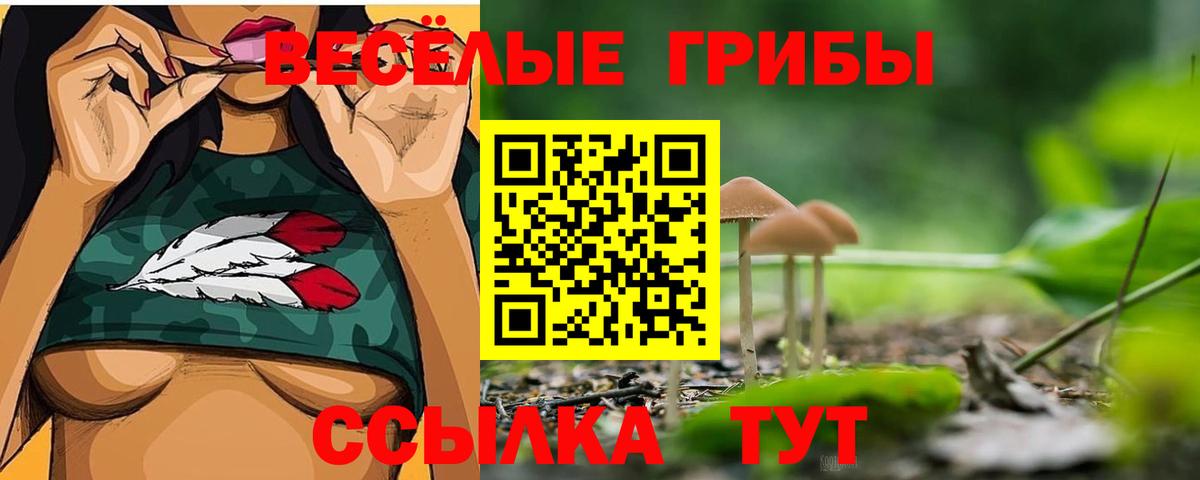 цены   Галлюциногенные грибы мухоморы  Вход с VPN  Новотроицк 